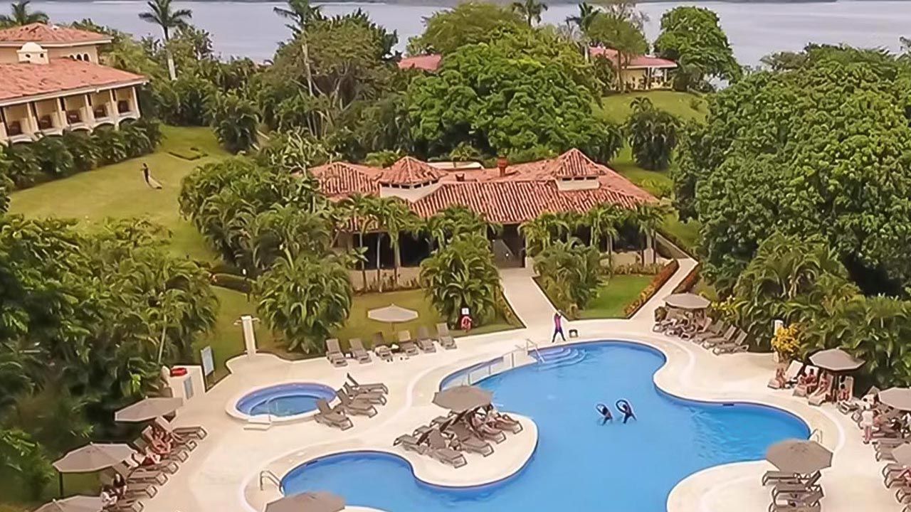 Occidental Papagayo image 10408