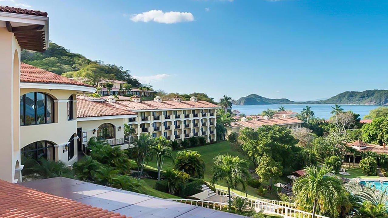 Occidental Papagayo image 10412