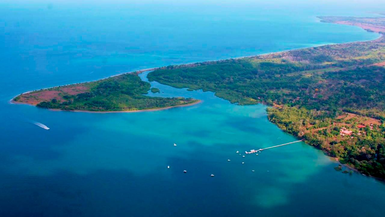 Puerto Jiménez image 10675