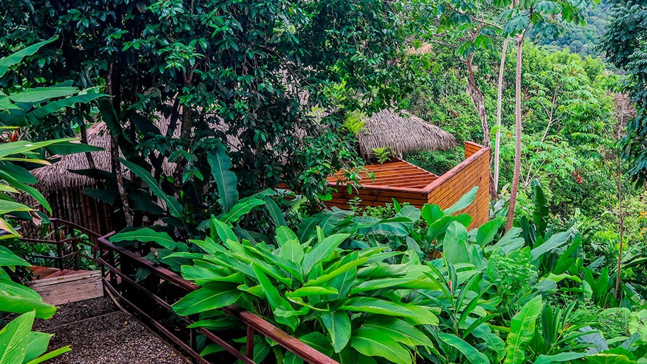 Lapa Rios Lodge image 10680