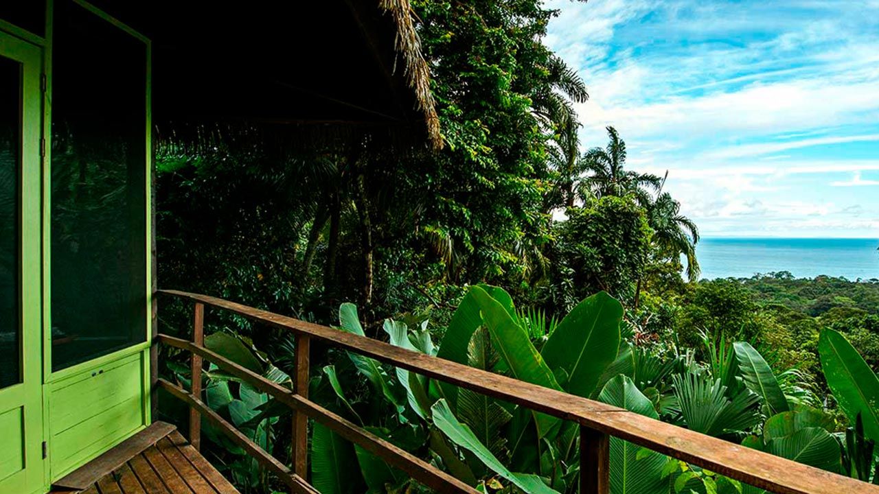 Lapa Rios Lodge image 10686