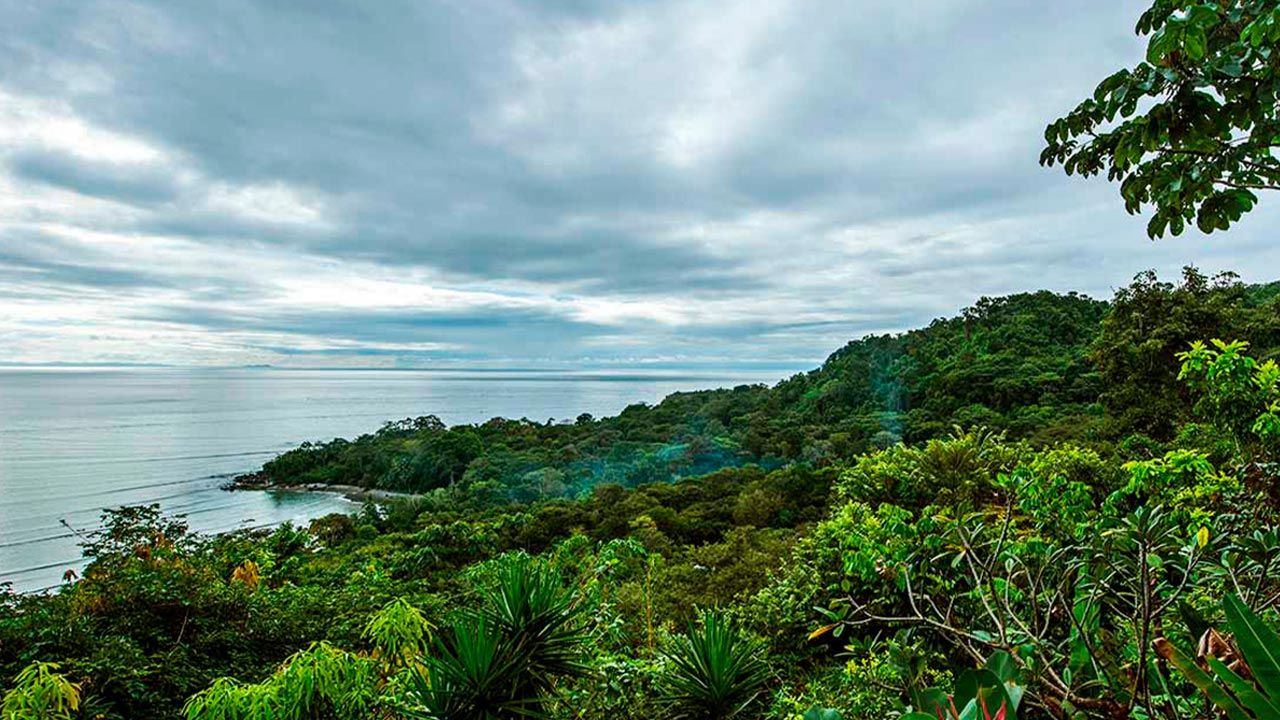 Lapa Rios Lodge image 10688