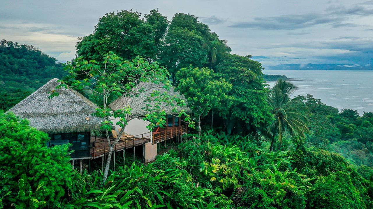 Lapa Rios Lodge image 10697