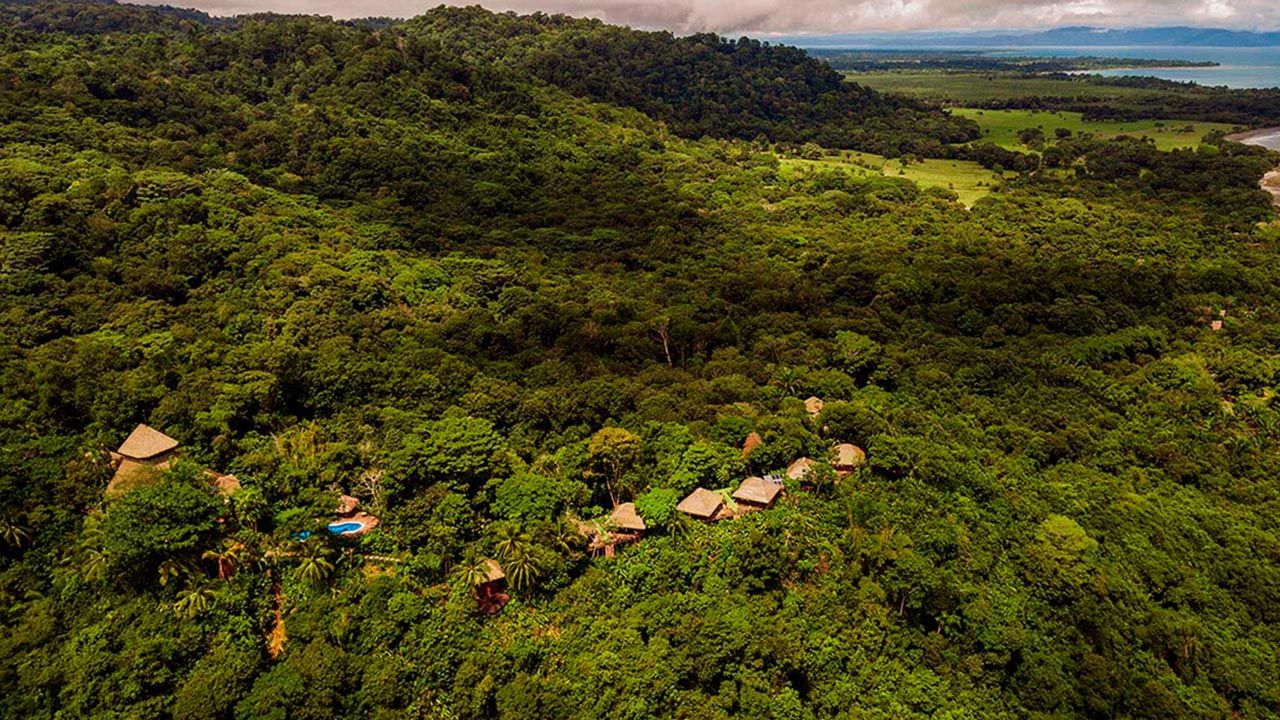 Lapa Rios Lodge image 10702