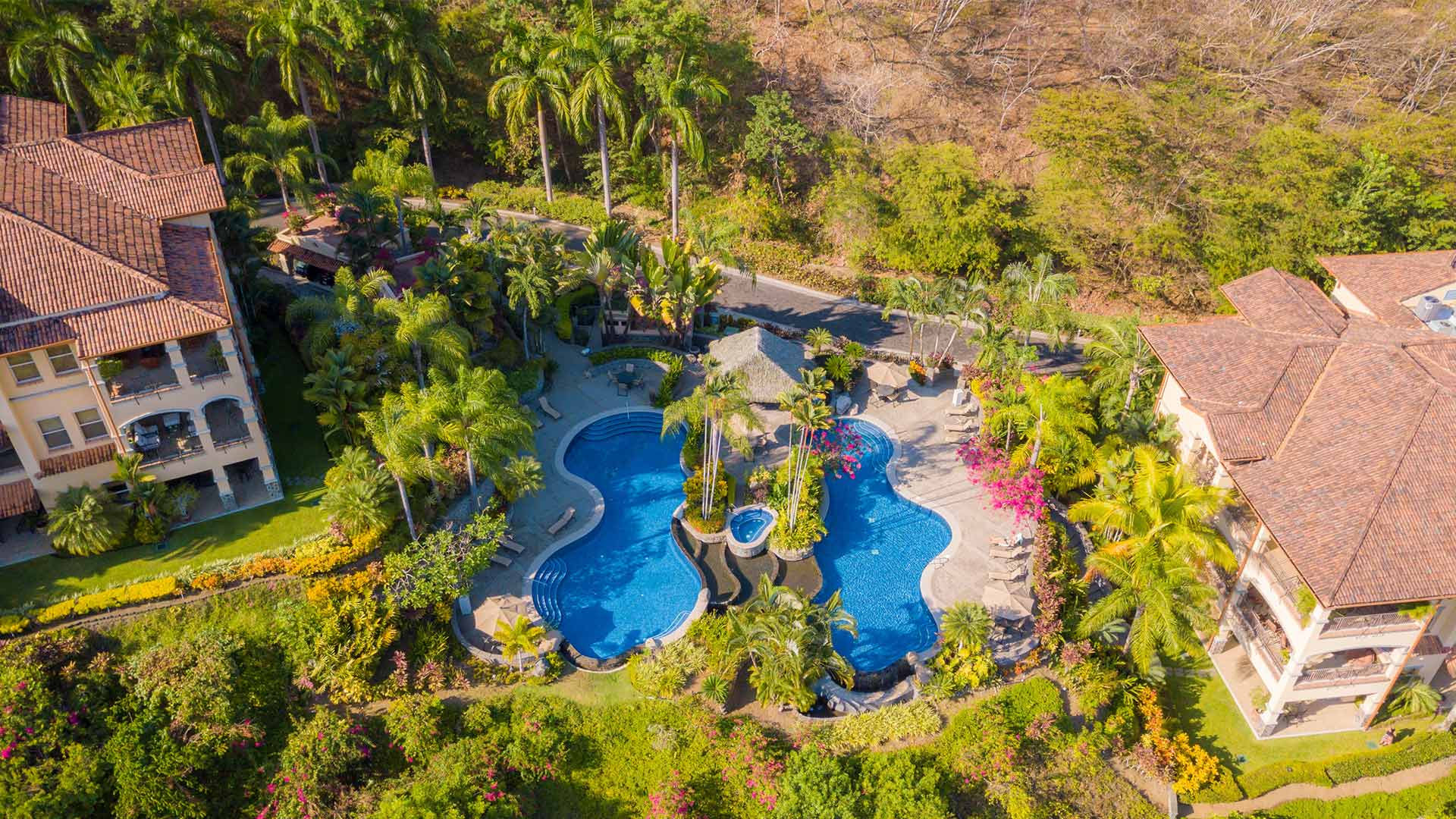 Los Sueños Presidential Condos image 10809