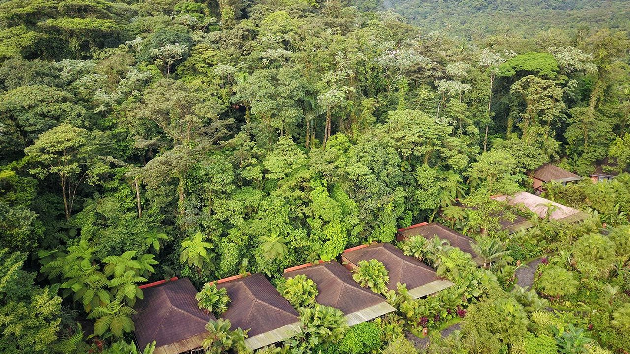 Rio Celeste Hideaway Hotel image 10889