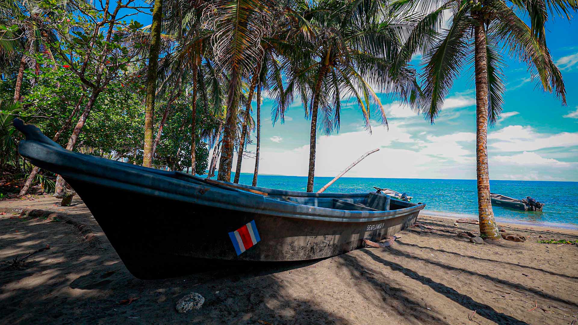 Puerto Viejo image 10903
