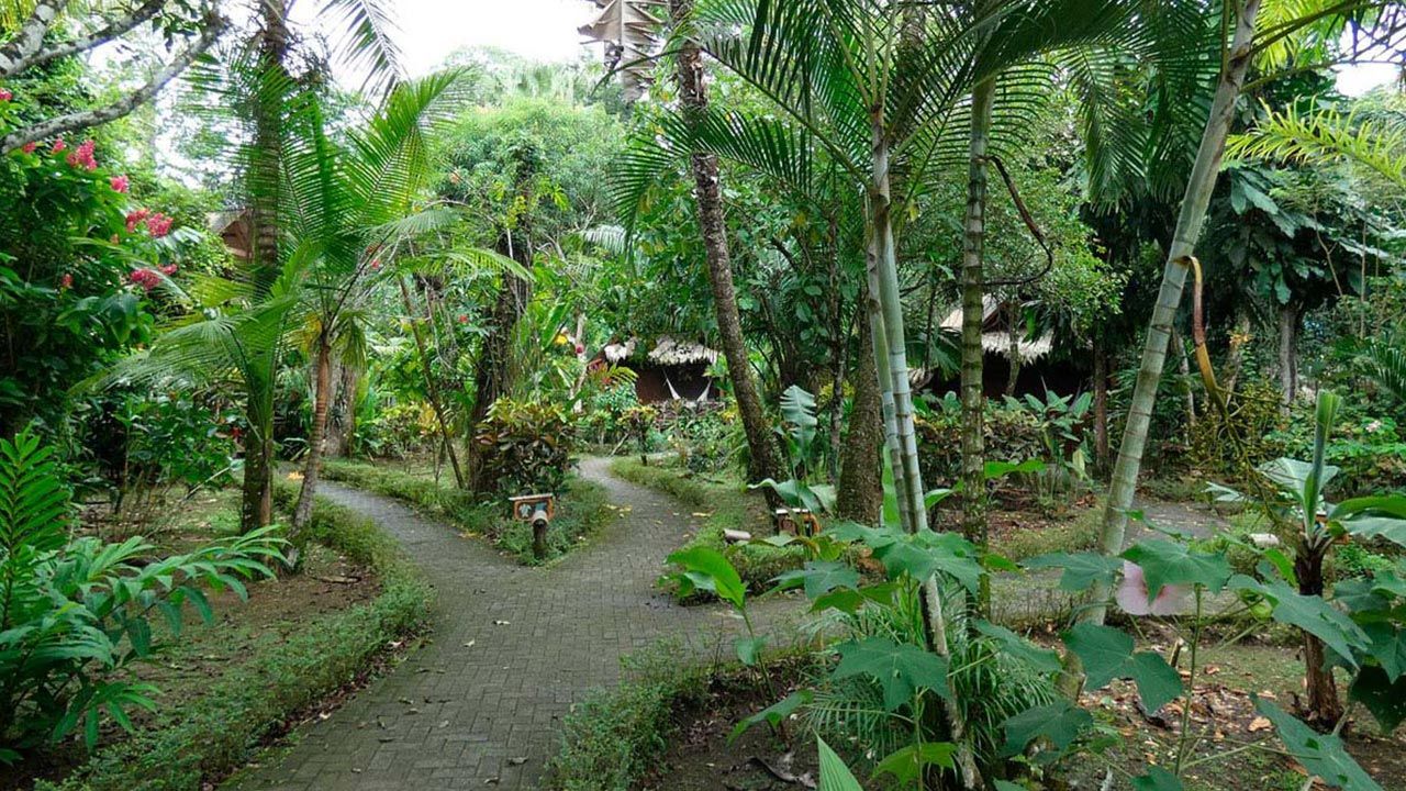 Azánia Bungalows image 10935