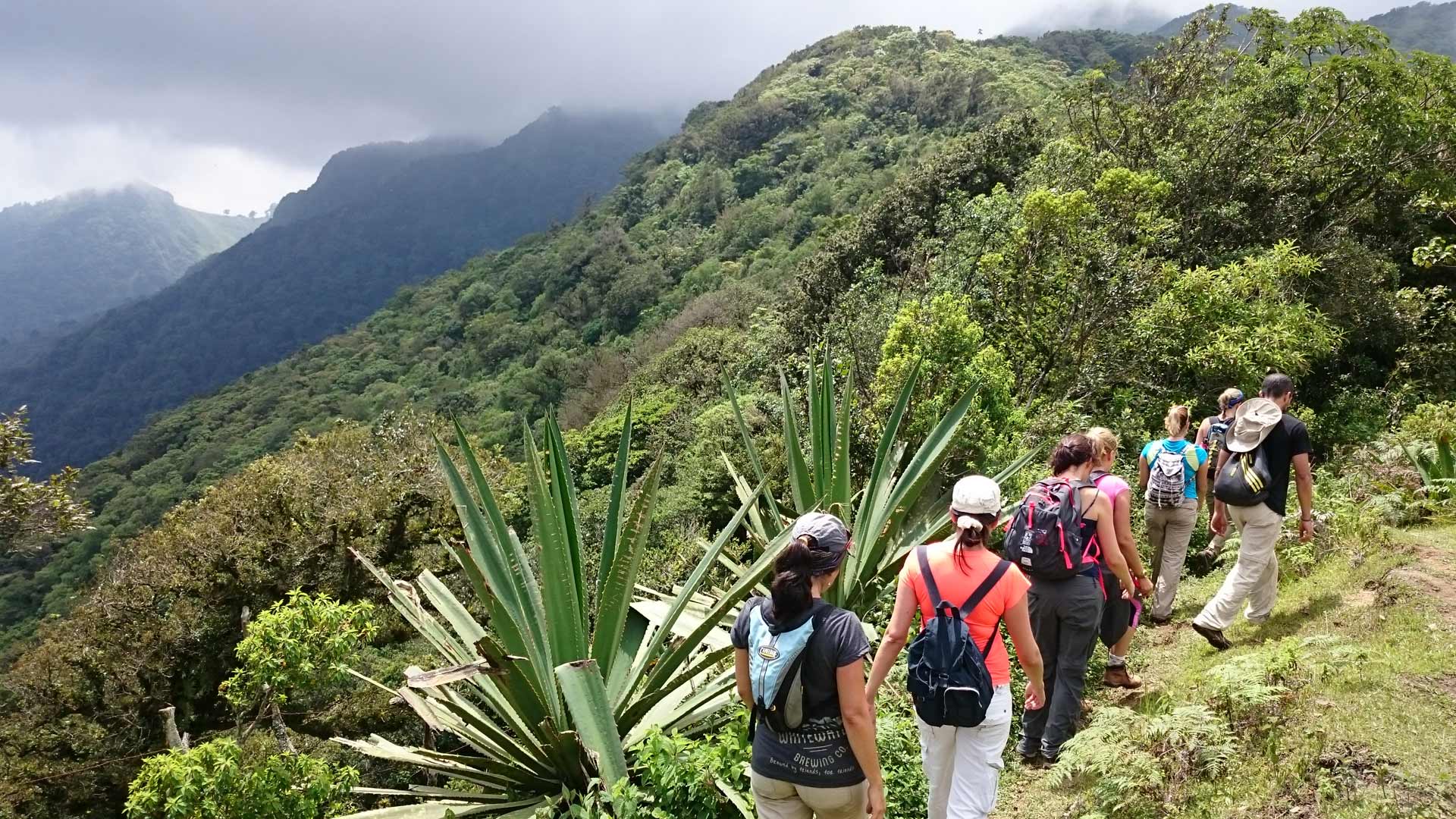 Hiking image 10984
