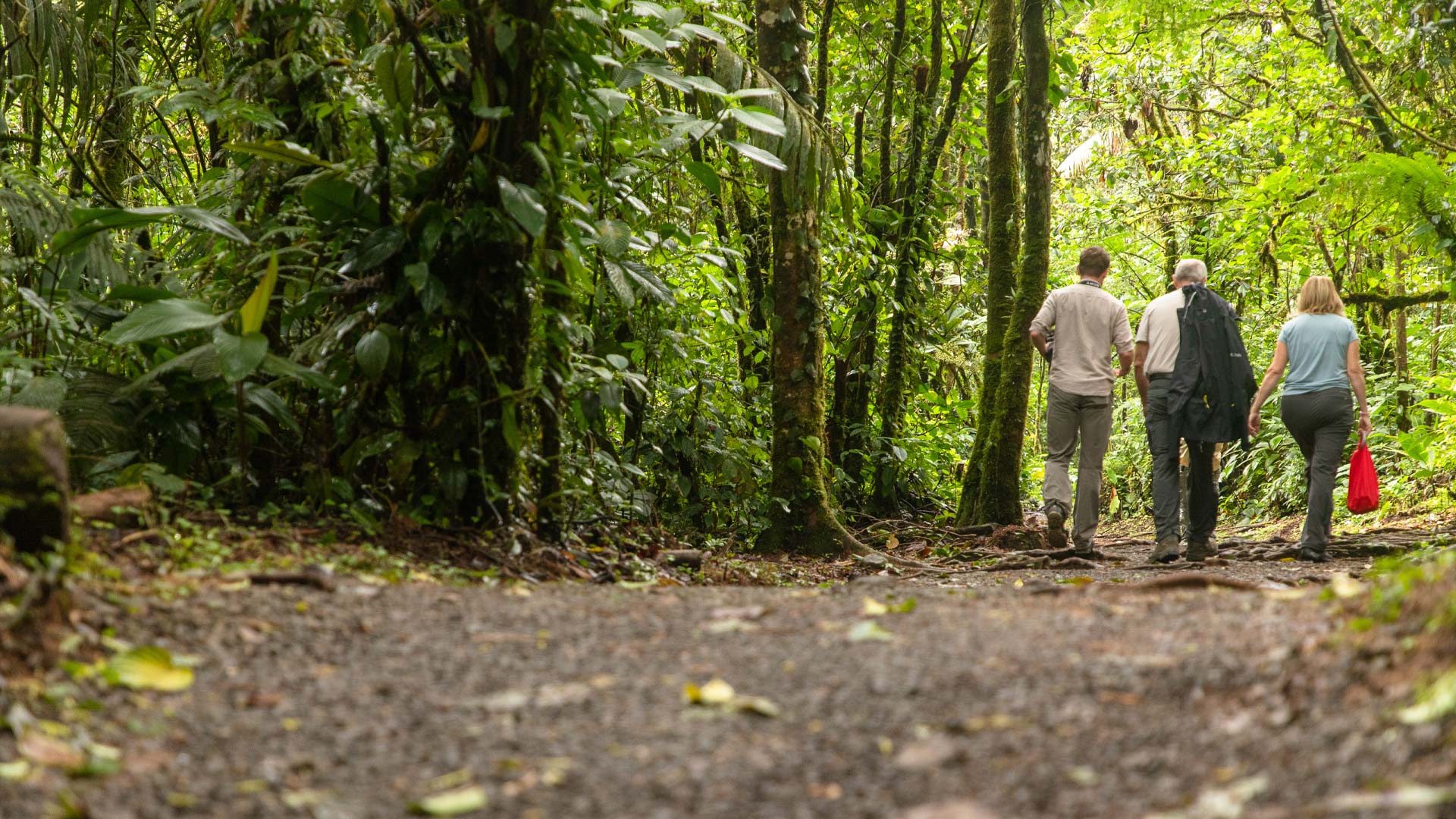 Hiking image 10983
