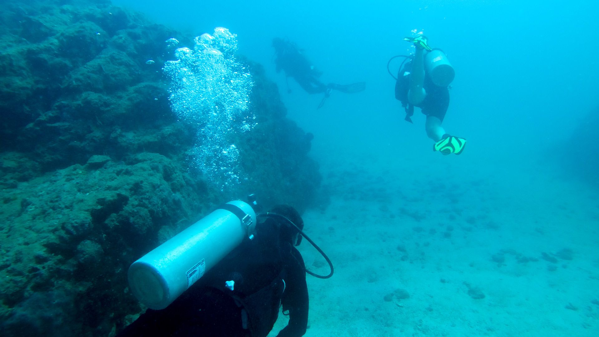 Scuba Diving  image 10988