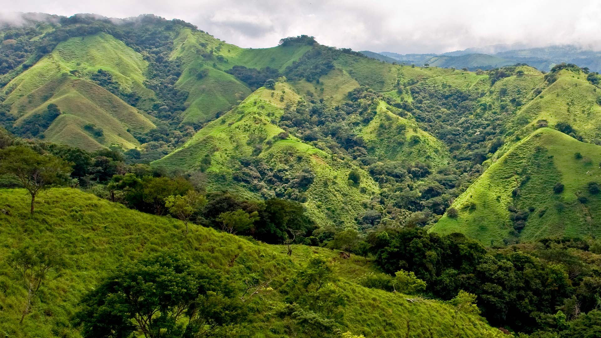Best Places to Stay in San Ramón, Costa Rica