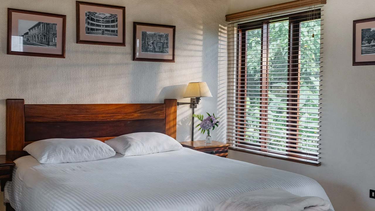 Villa Blanca Cloud Forest Hotel & Reserve image 11043