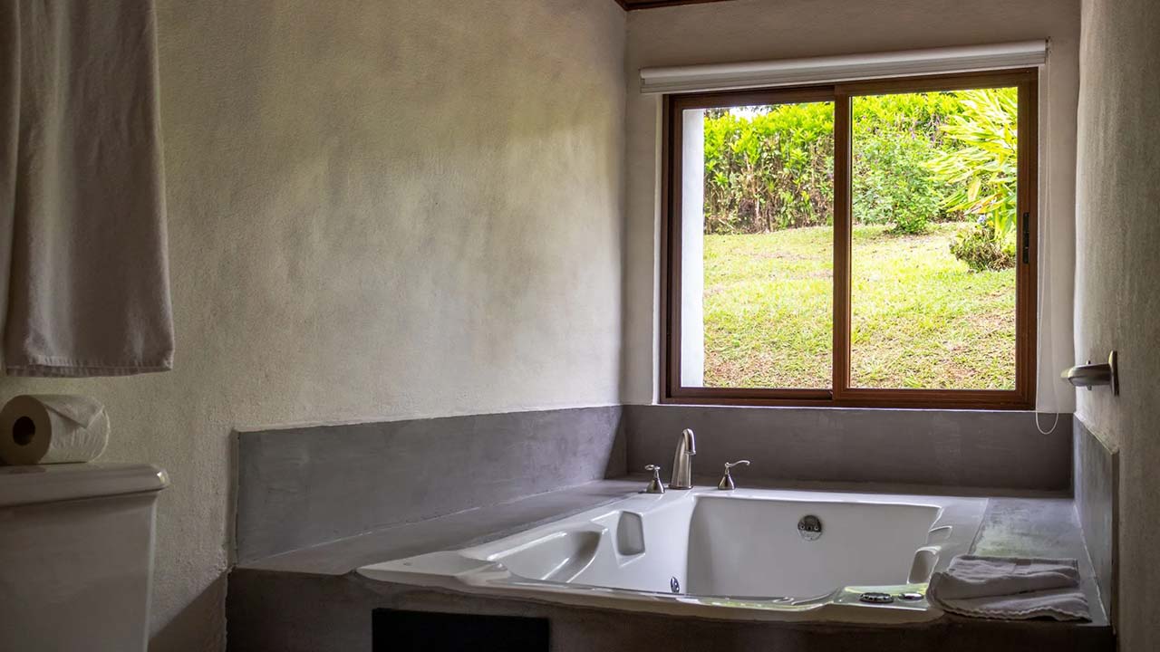 Villa Blanca Cloud Forest Hotel & Reserve image 11050