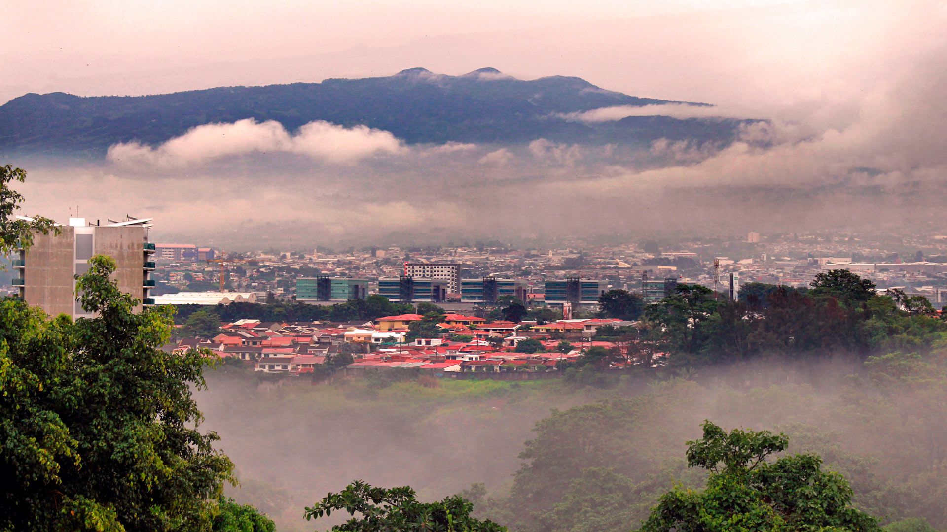 San José image 11125
