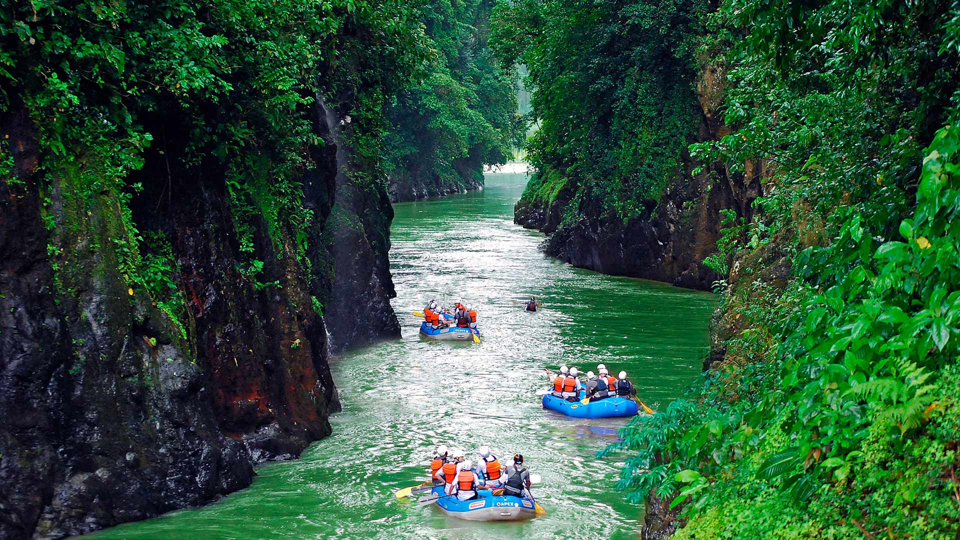 Pacuare image 11244