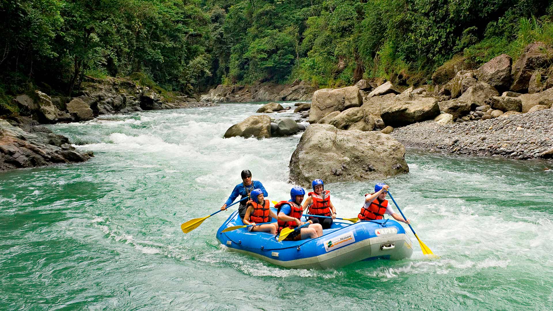 Pacuare image 11245
