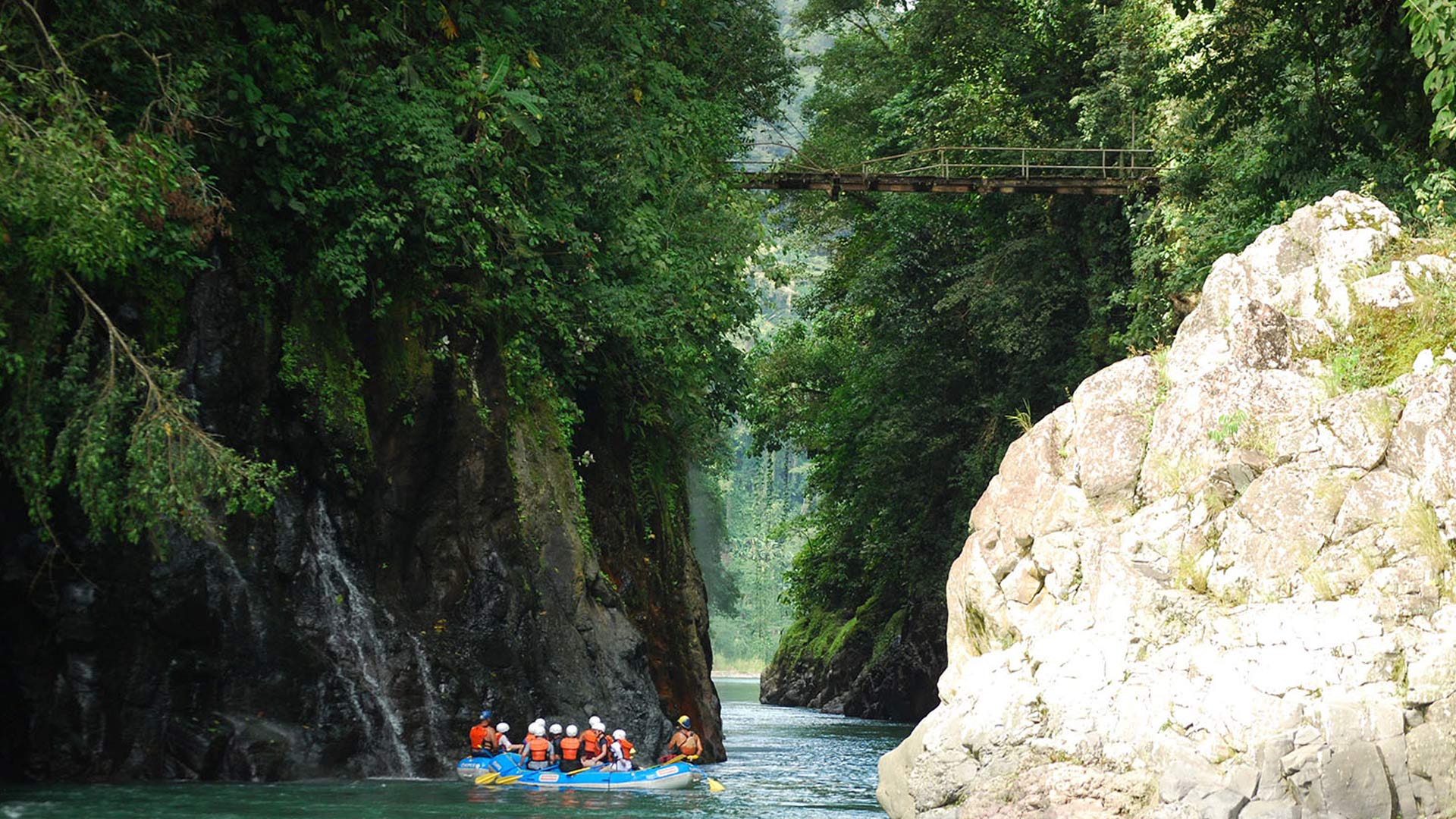 Pacuare image 11246