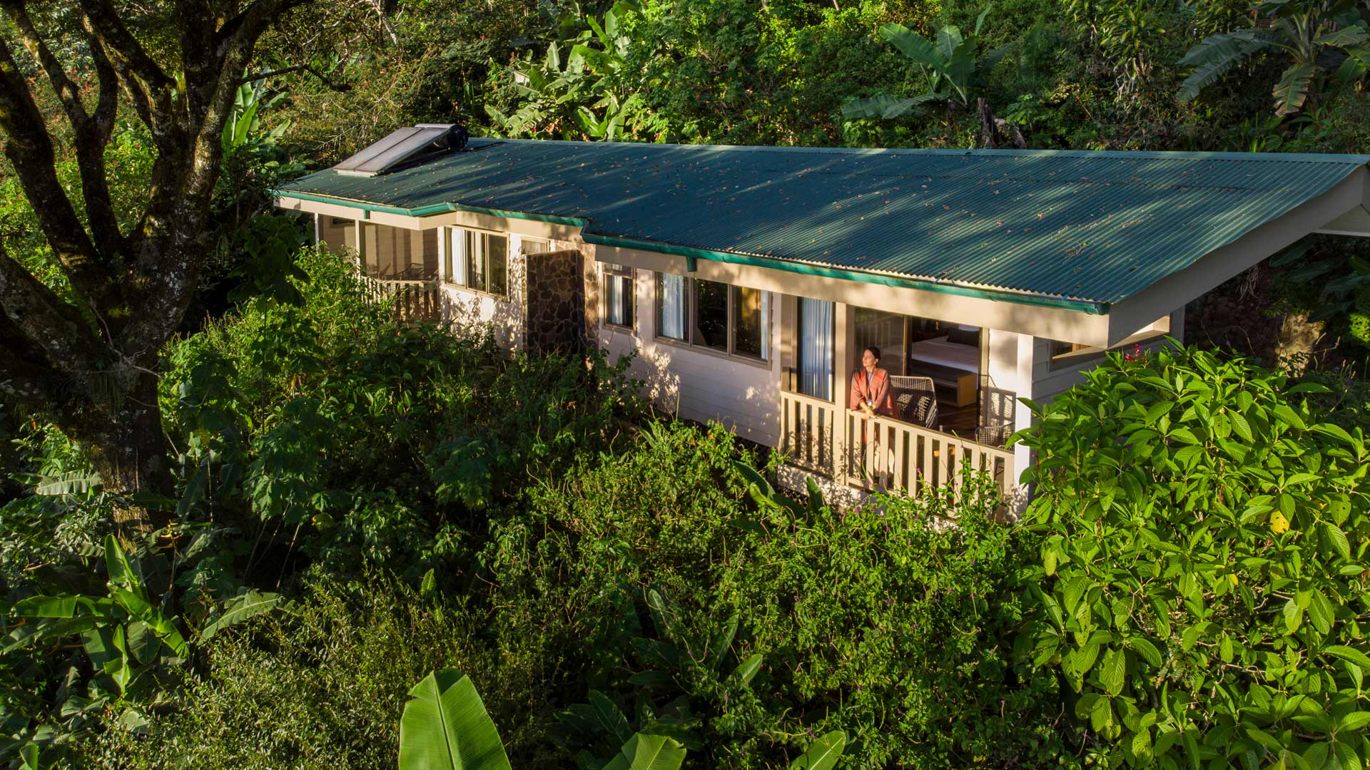 Senda Monteverde Hotel image 11408