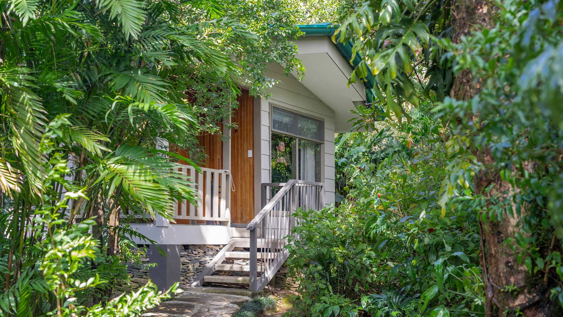 Senda Monteverde Hotel image 11412