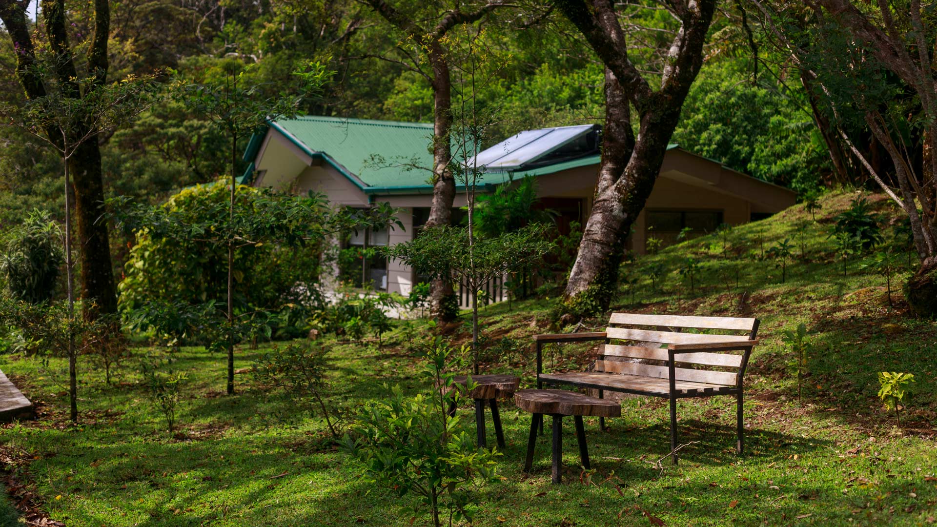Senda Monteverde Hotel image 11418