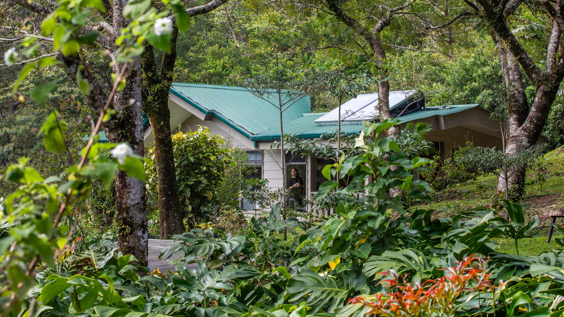 Senda Monteverde Hotel image 11431