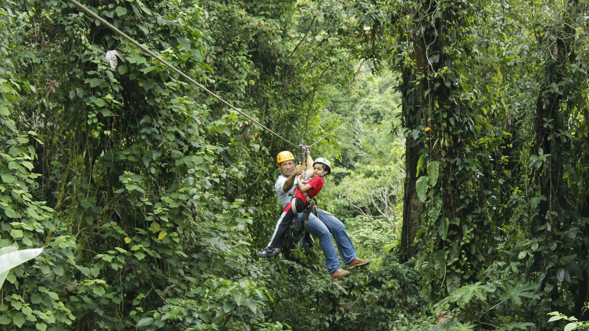 Arenal Volcano and La Fortuna image 11596
