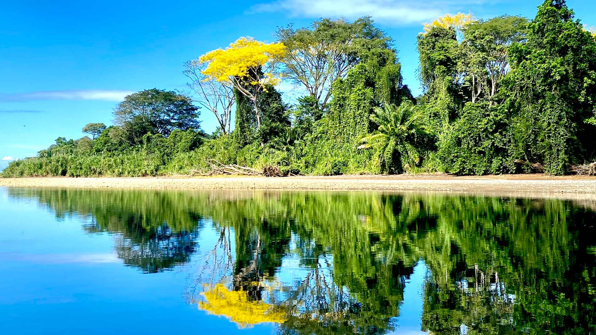 Dominical image 11609