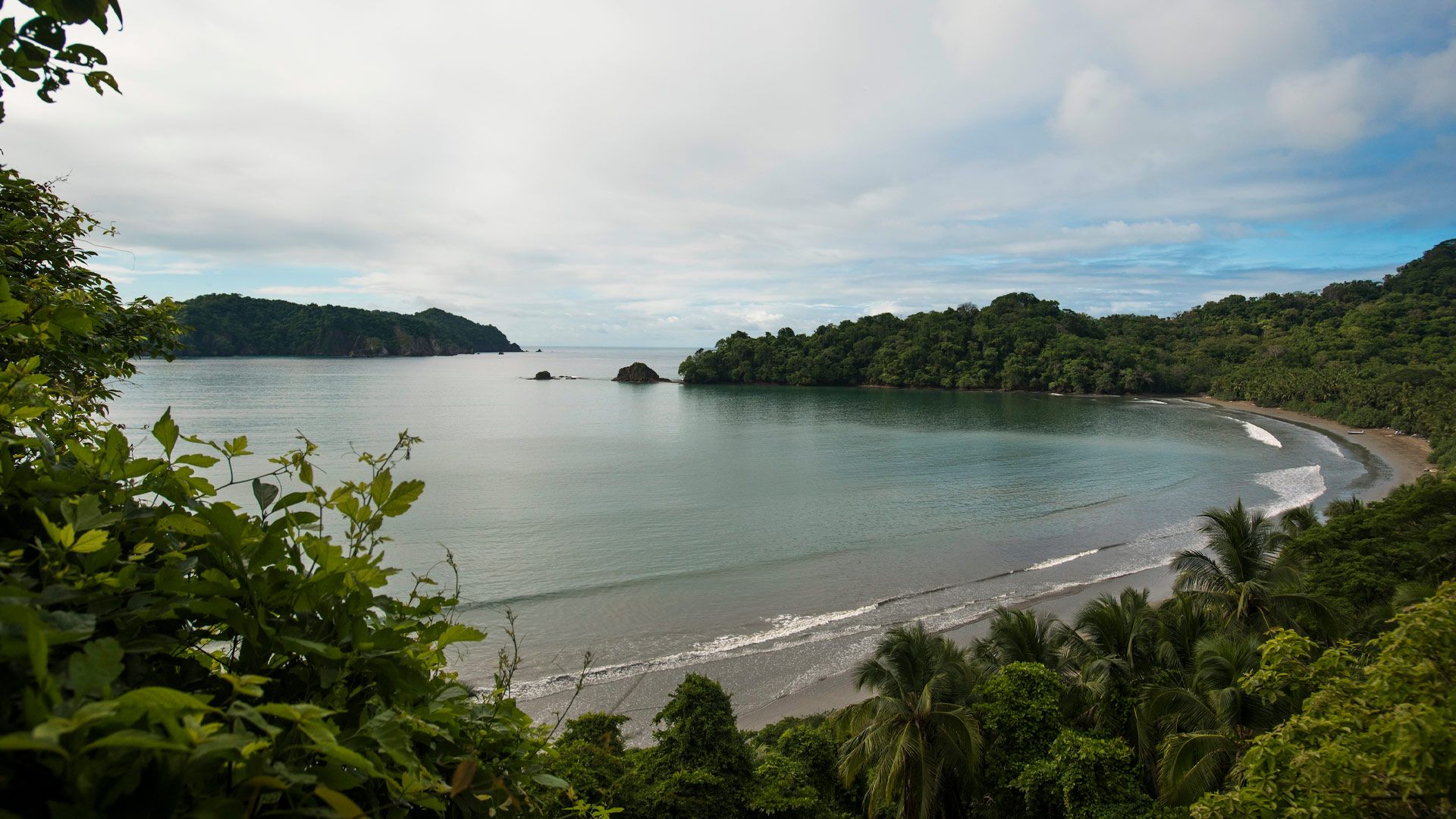 Isla Chiquita image 11615