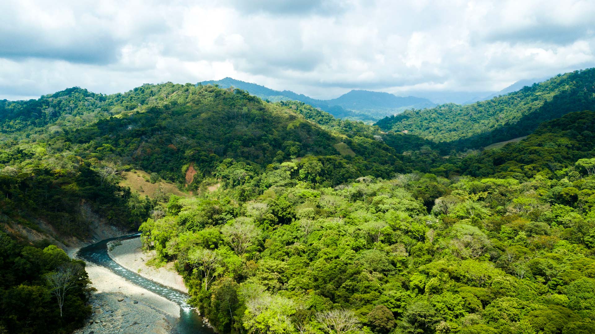 Quepos image 11647