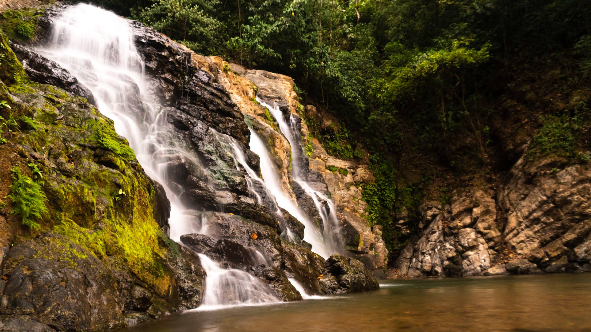 Quepos image 11649