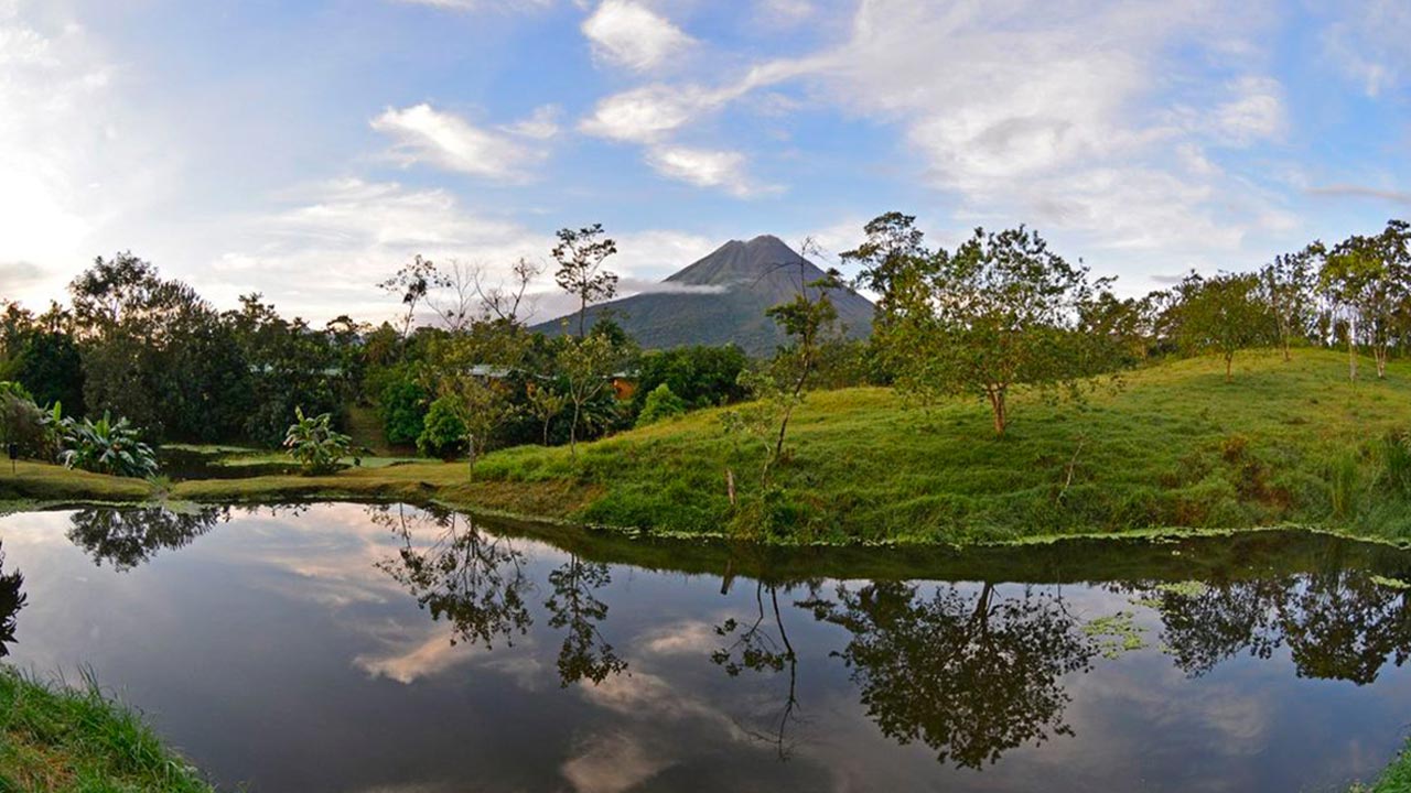Arenal Manoa image 11823