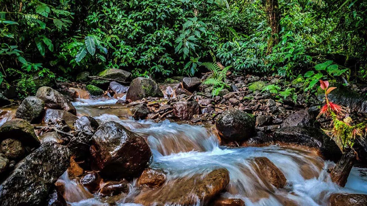 Arenal Observatory Lodge & Spa image 11849