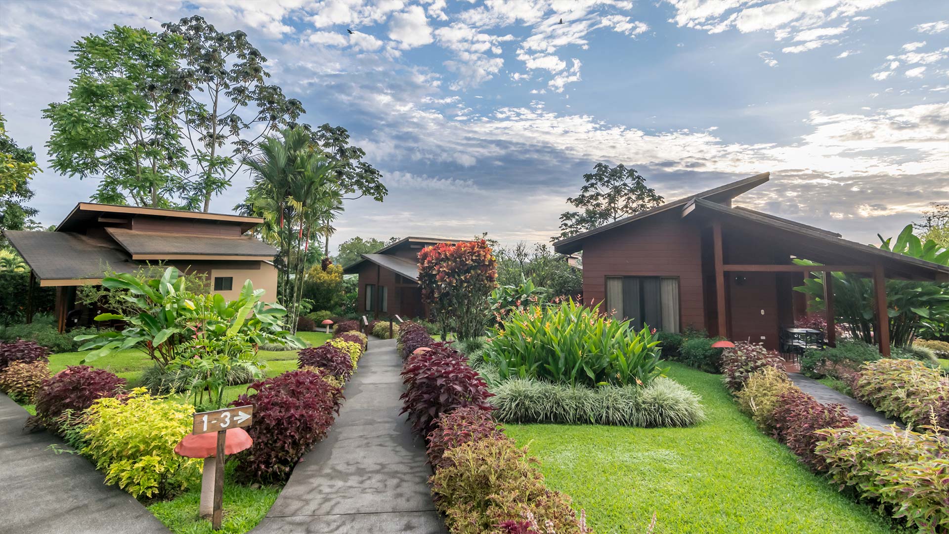 El Silencio Del Campo image 11935