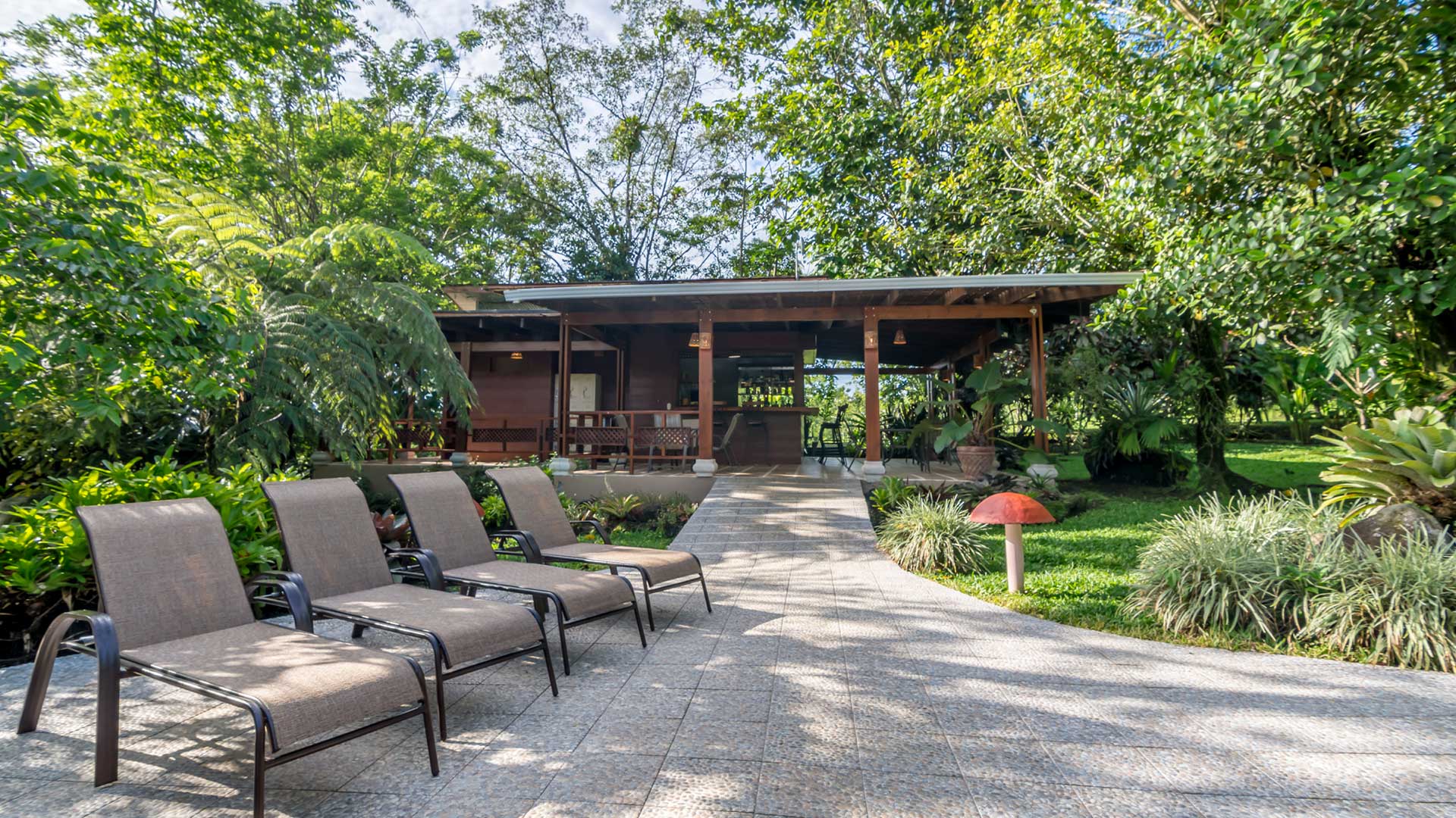 El Silencio Del Campo image 11926