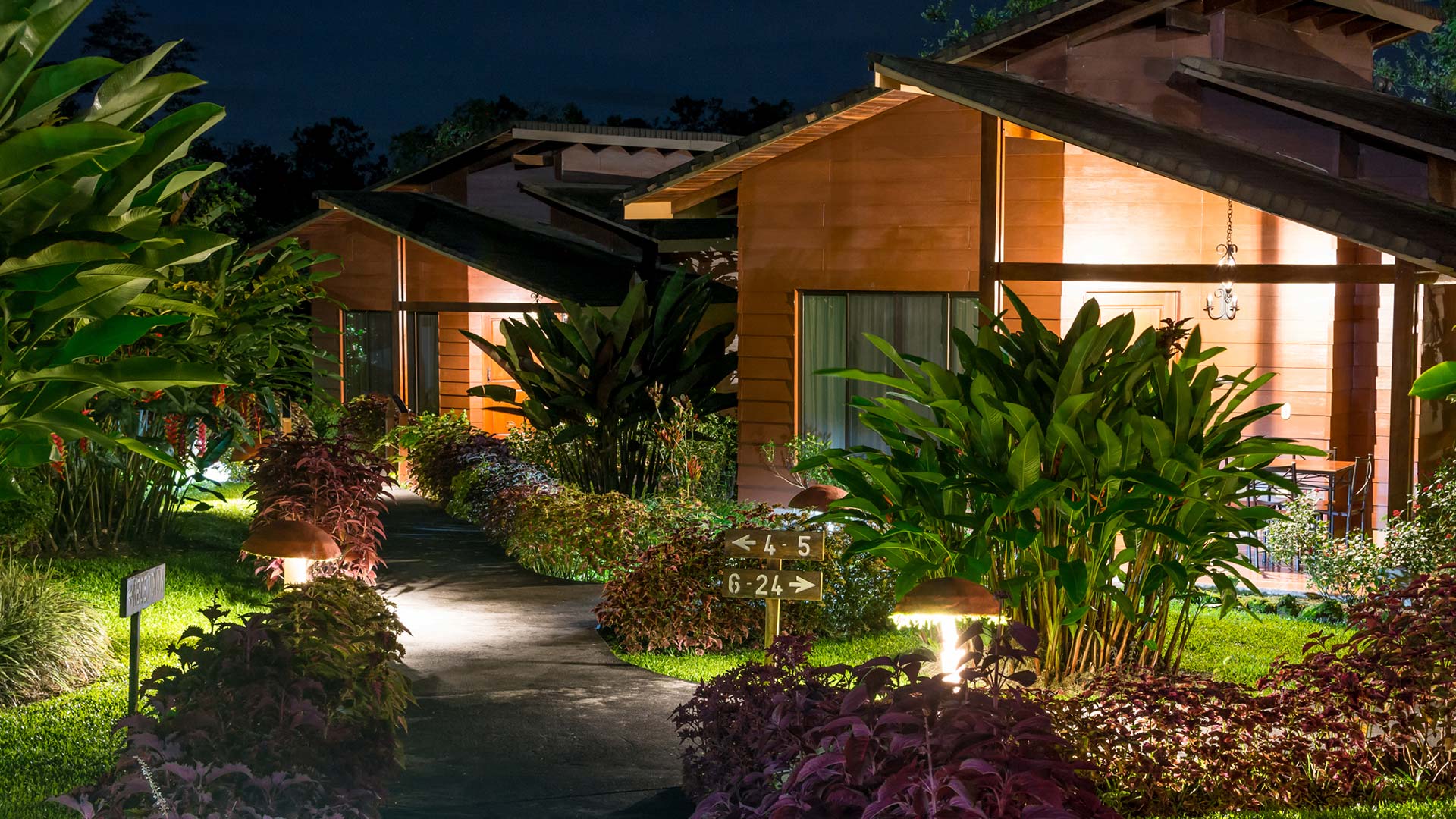 El Silencio Del Campo image 11928