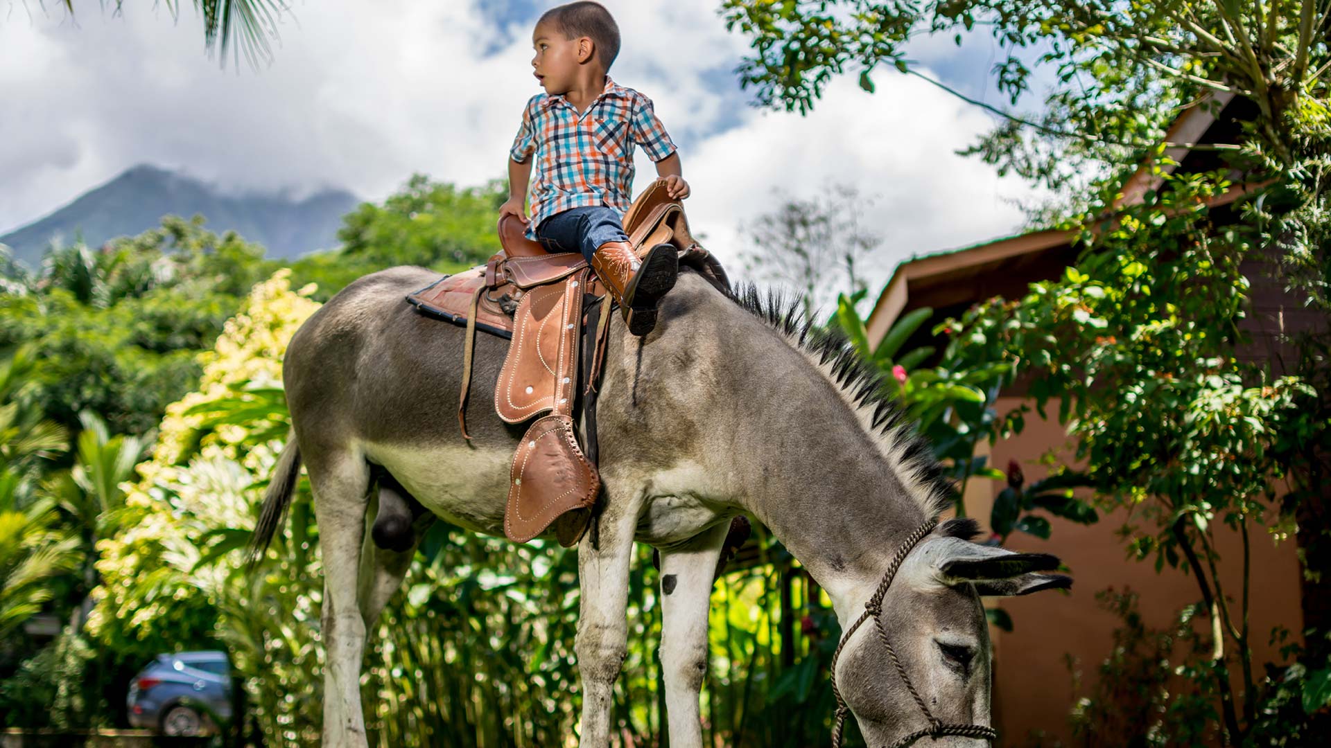 El Silencio Del Campo image 11929