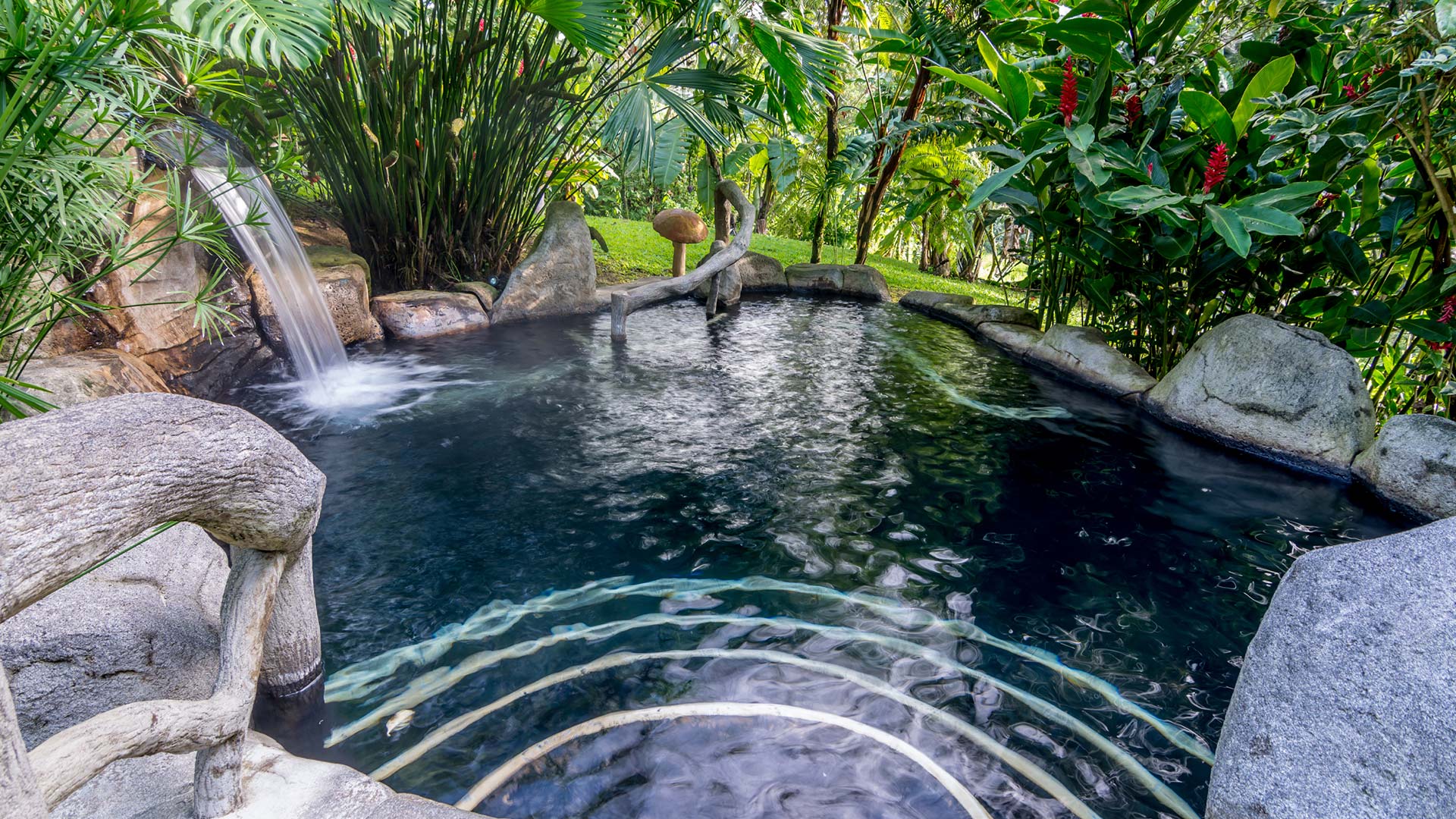 El Silencio Del Campo image 11933