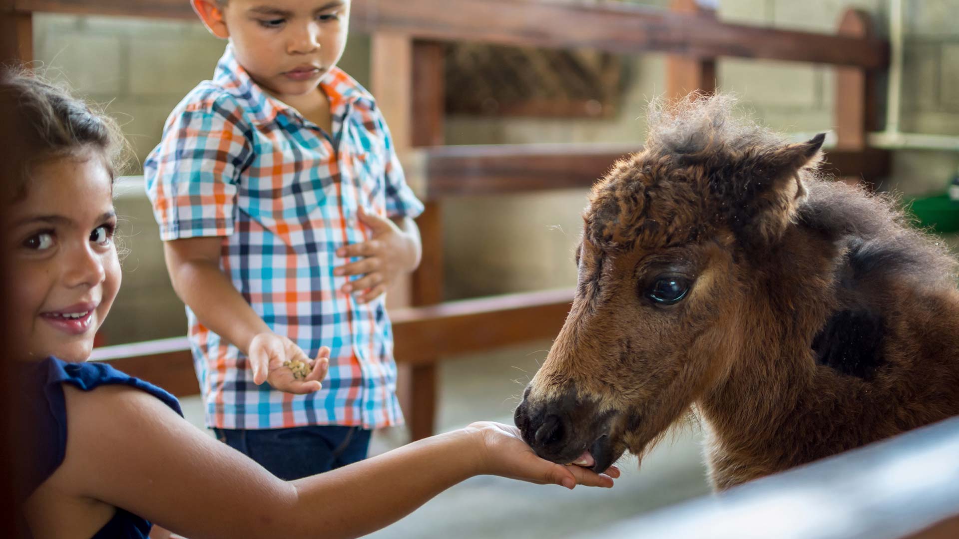 El Silencio Del Campo image 11937