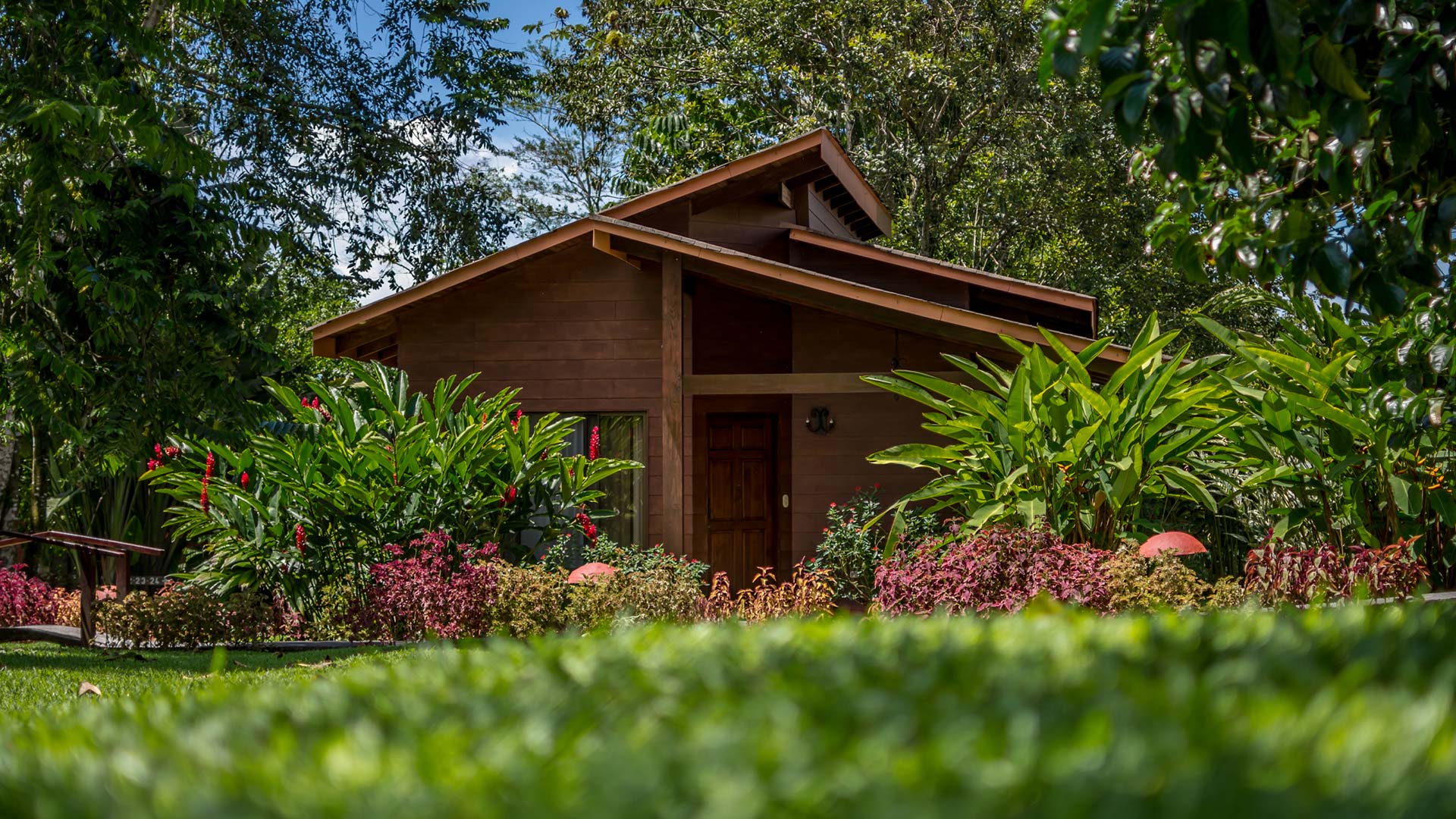 El Silencio Del Campo image 11945