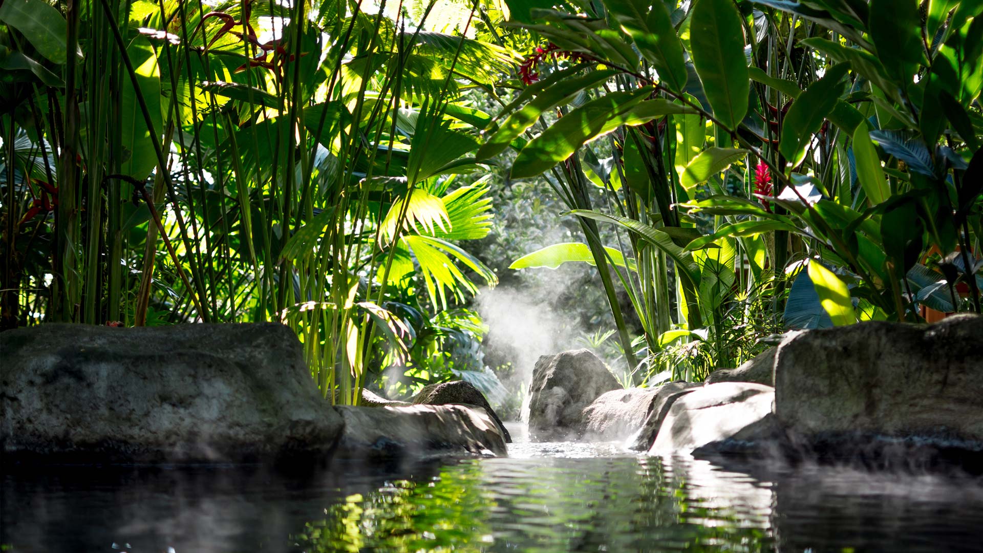 El Silencio Del Campo image 11938