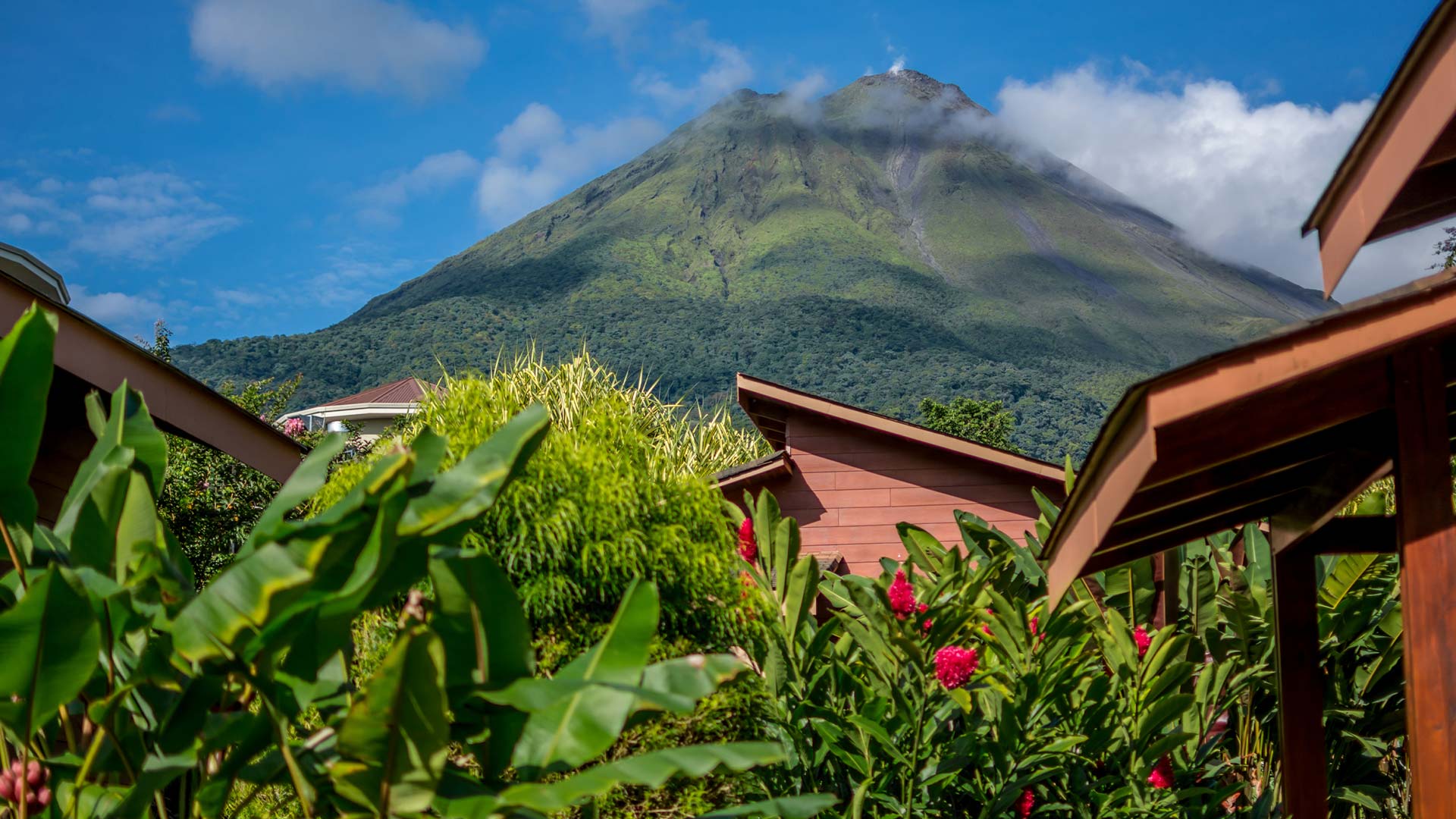 El Silencio Del Campo image 11936