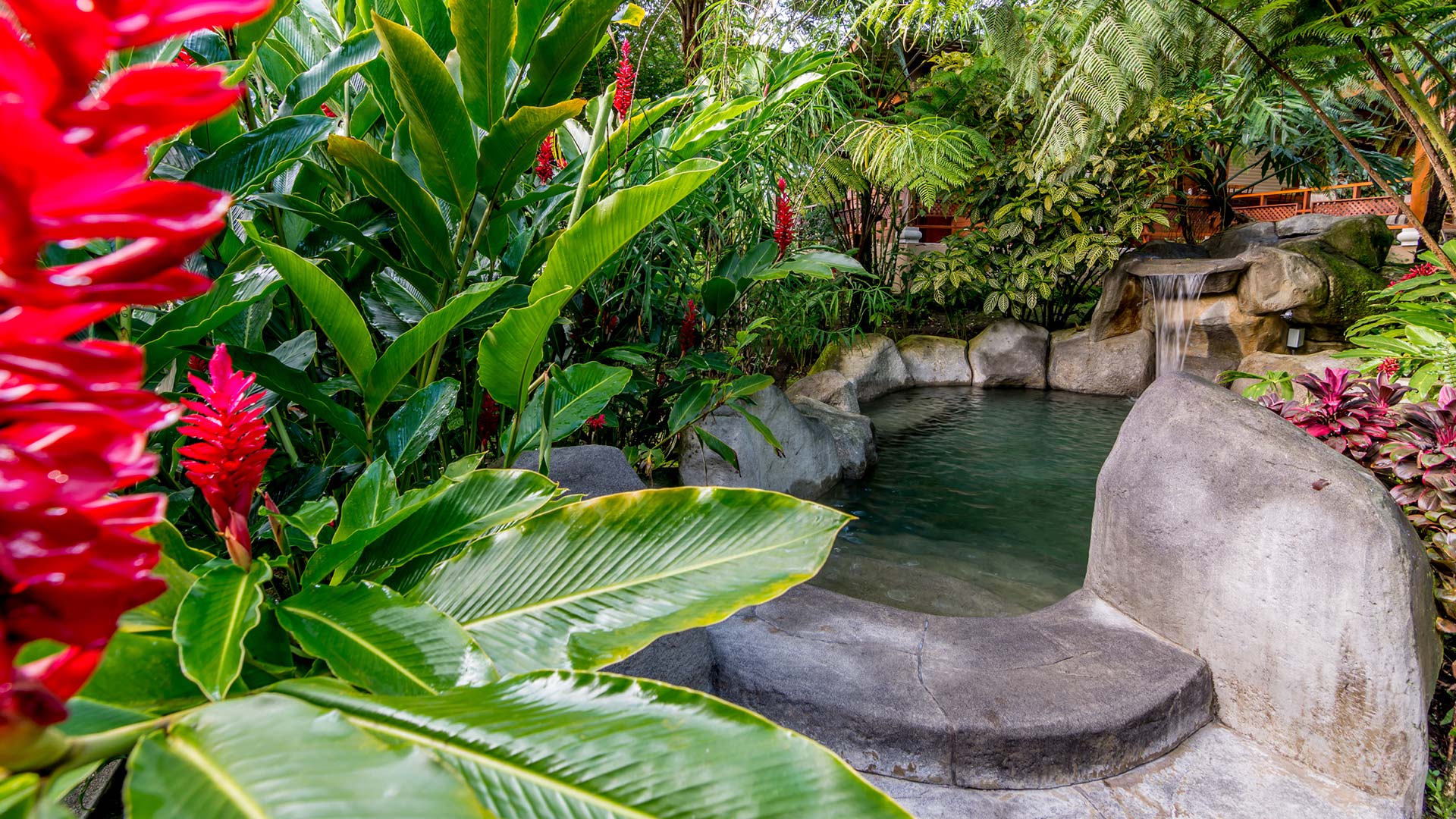 El Silencio Del Campo image 11944