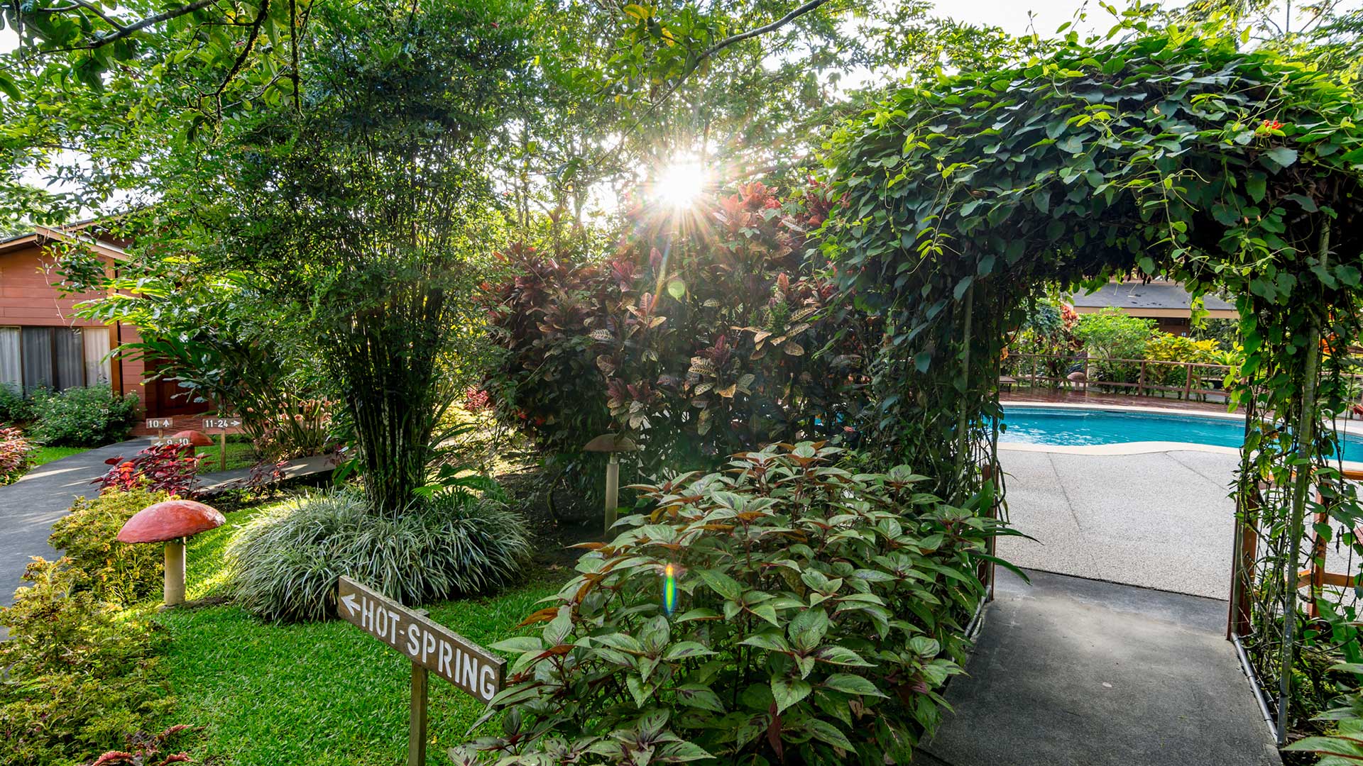 El Silencio Del Campo image 11946