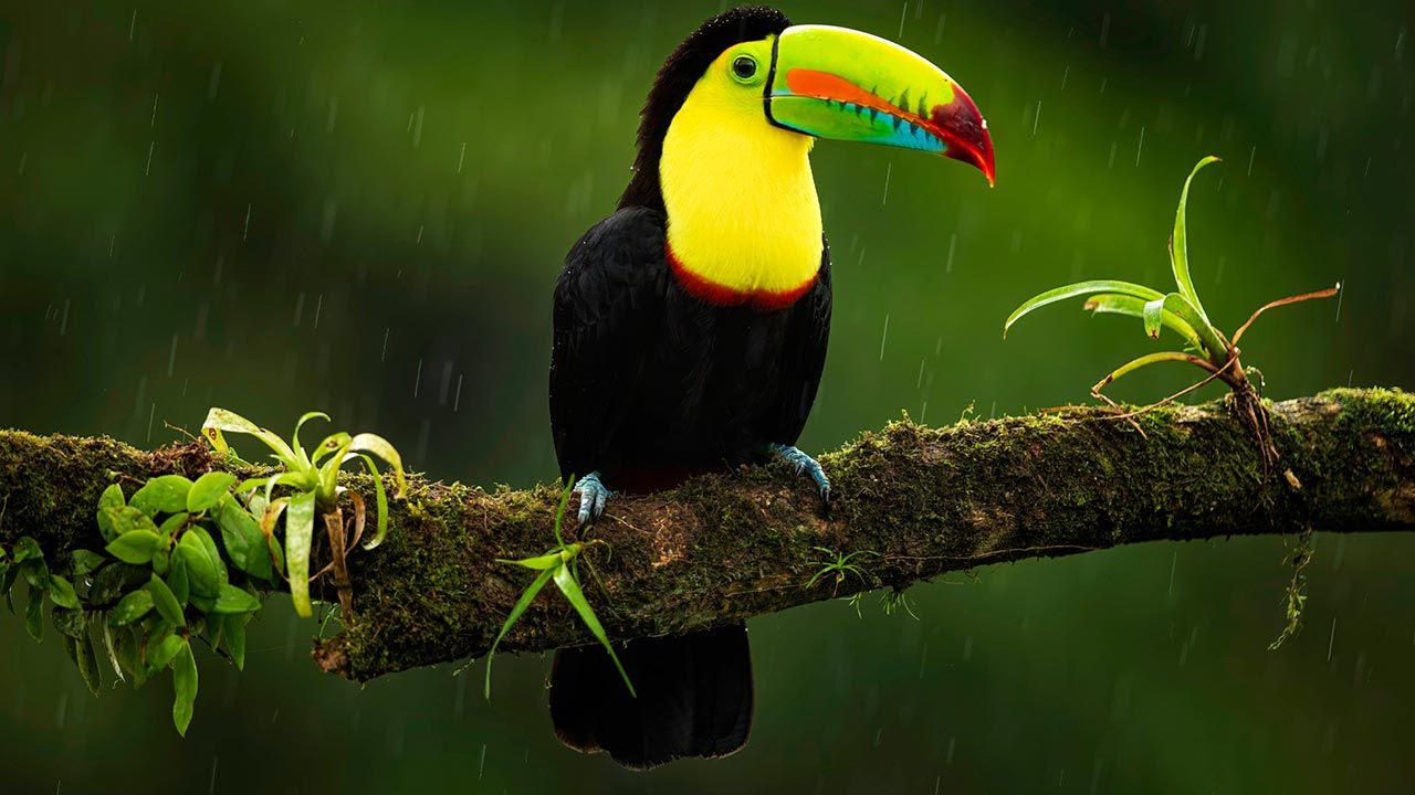 Mountain Paradise image 12046