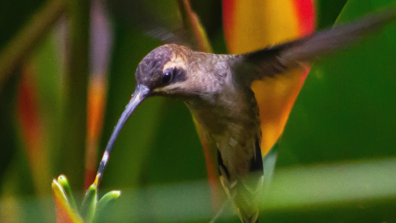 Mountain Paradise image 12052