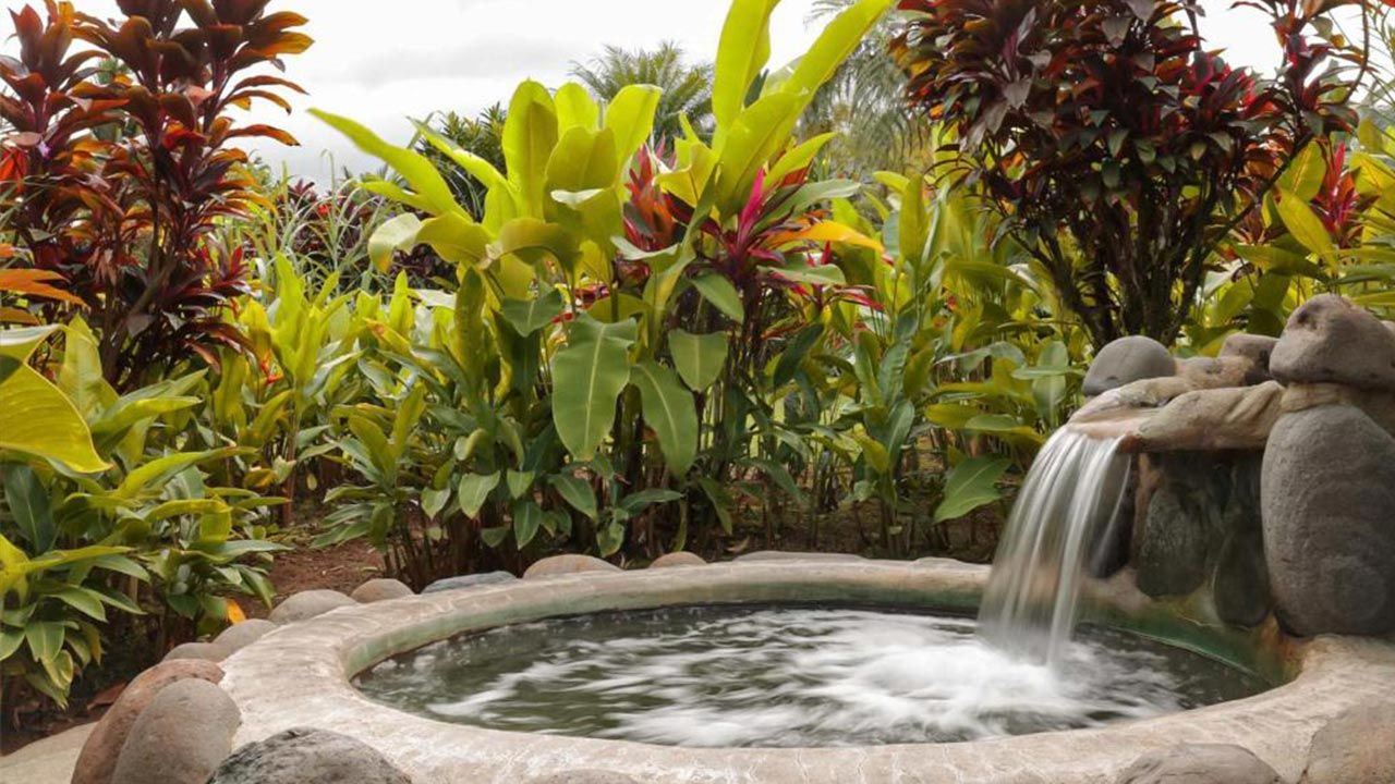 Volcano Lodge and Springs image 12112