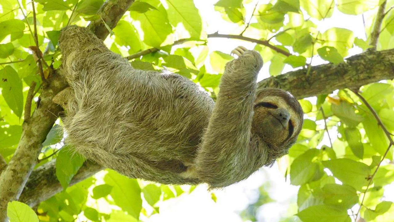 Cuna del Angel image 12546