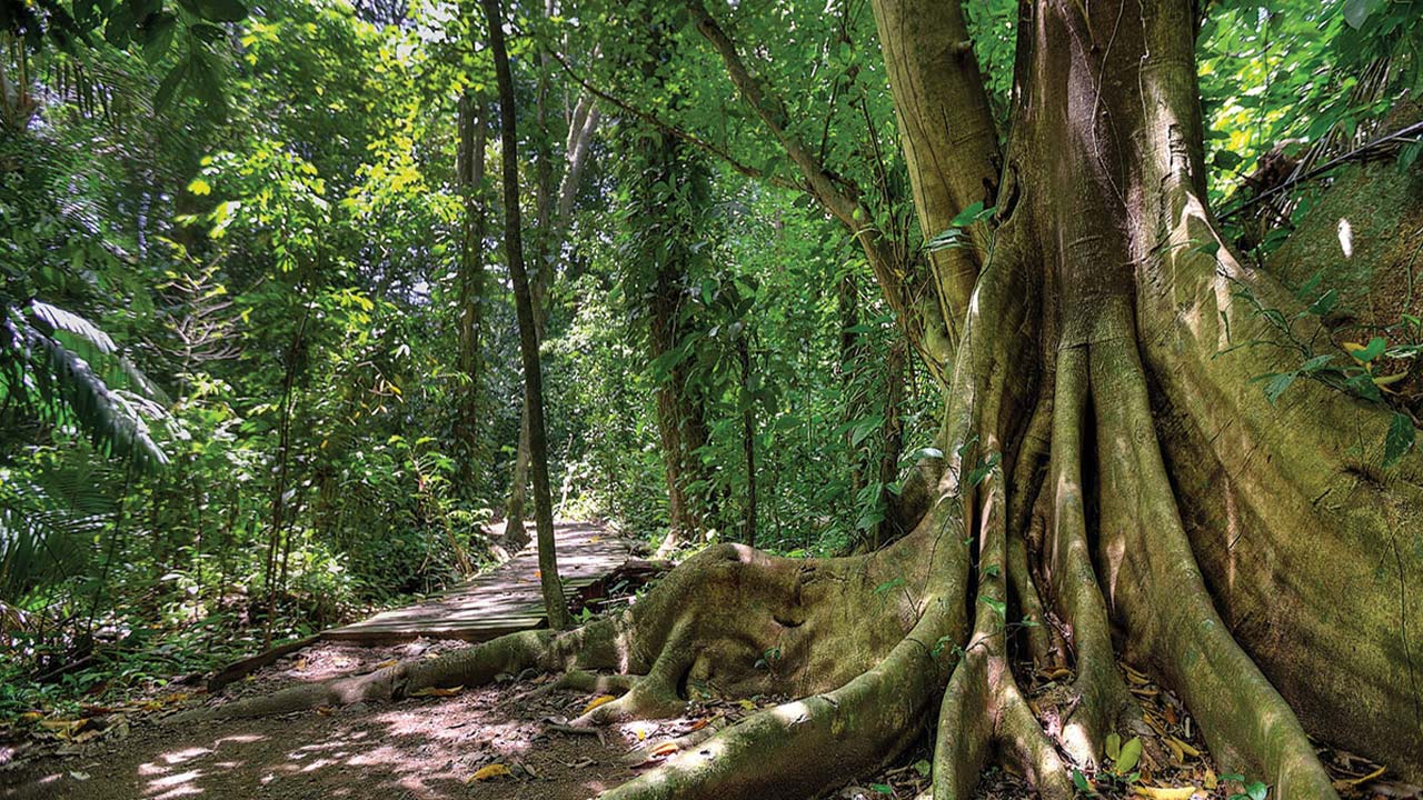 Cuna del Angel image 12563