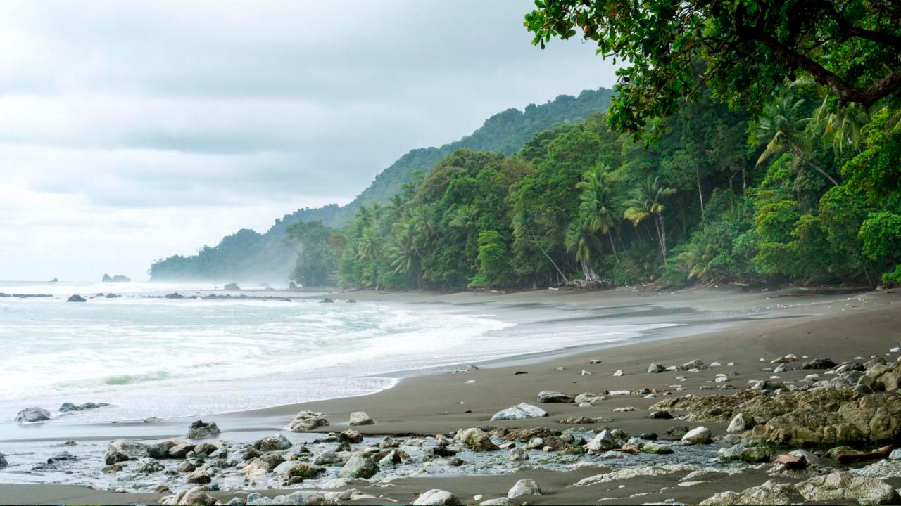 Villas Rio Mar image 12587